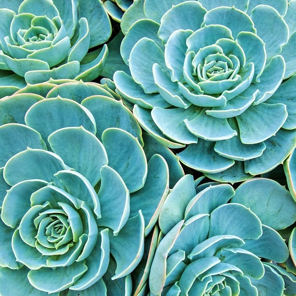 Meet your Posher, Melissa - Picture 1 of 1